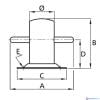 Vetus ACHIL130 Bolder RVS met voetplaat 1150 kgf Ø70mm-2